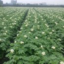 제주특별자치도 농업기술원 이미지