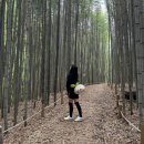 걷기 좋은 창녕남지 개비리길과 근처밥집인 옛날시골보리밥집