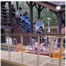 경용태권도 이미지