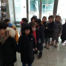 피카소 색깔놀이 이미지