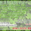 南山"의 2013年12月13日(金)/15日(日),연말경마,부산경마(승부경주)및 실전베팅 가이드 이미지