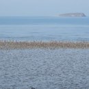 보전간척지 이미지