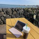 22 - 제주도 신혼여행 5일차 , 6일차 ( 협재맛집 , 협재카페 , 오는정 , 다미김밥 , 뵤뵤 , 크랩잭 )
