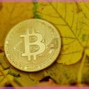 아이건강 이미지