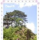 정선목장 이미지