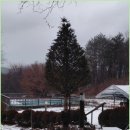 호천식당 이미지