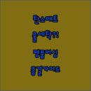 한솔세탁 | 물세탁 가능한 탄소매트부터 명품 어싱매트까지 장점 완벽 가이드