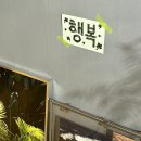 [제주 동쪽] 제주 여행 중 꼭 들러야 할 소품샵 모음 2📍(데일리스티치, 943스튜디오, 월간빈티지)
