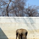 달성공원 이미지