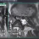 한진솔