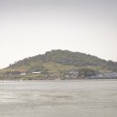 미니스톱 신안안좌점 | 하얀 꽃물결 가득한 곳, 신안 장산면 샤스타데이지 축제 후기