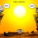만평 이미지