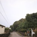 신흥2리마을 네이버블로그