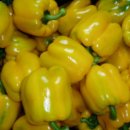 칠성농장 이미지