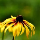 상일세탁소 이미지