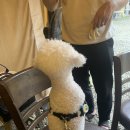 마산가든 이미지