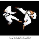 돌려차기태권도 이미지