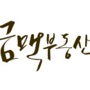 금금맥공인중개사사무소 이미지