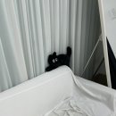 서진프라자 | 2부드레스 유색드레스 맛집 이엔느 드레스 피팅 후기