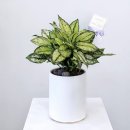 월산동 행정복지센터 이미지