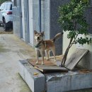 화성초록병원 | [화성 남양] 화성시청 두피관리 고민 끝! 박하사탕처럼 시원한 두피밥 후기