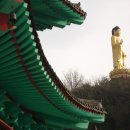 1월20일. 오늘 이미지