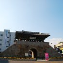 홍성천으로 돌아온  이미지