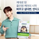 우리 강아지 달라졌어요! 인디고 기능성 사료 먹이고 놀란 후기