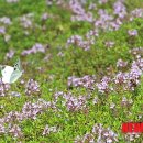 중명생태공원 이미지