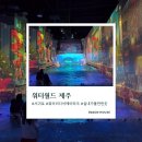 월드타올 | 제주 아이랑 가볼만한곳｜15개월 아기와 워터월드 제주 다녀온 후기