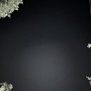 포천계곡캠핑장 이미지