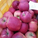 옛터농장 이미지