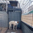 소답동225 이미지