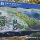 청도천잔디체육공원 이미지