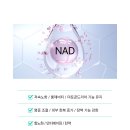 샤인 메디코스 | 올 여름 광채 피부를 만들어 줄 셀지크 워터 샤인 앰플