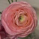 송현농장 이미지