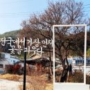 소학정 이미지