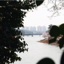 은파호수공원 9-4 이미지