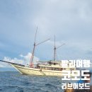 [발리여행] 코모도 리브어보드 3박 4일 : 가성비 스노클링 투어 1일차