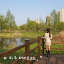 운정호수공원 상가 앞 | 파주 가볼만한곳 튤립 가득한 운정호수공원 등 데이트 코스