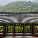 표충사 이미지