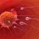 이화식품 이미지