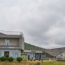 유채꽃프라자 네이버블로그