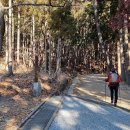 갈맷길(7코스) 이미지