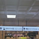 가야오토카