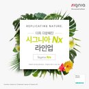 독일시그니아보청기군산센터 이미지