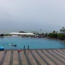 만수무강(북부점) | [추억 세계여행] 태국 #3 방콕 파타야 여행 | 태국 파타야 셋째날｜악어쇼·코끼리 트래킹·수상시장...