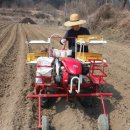 동양카브레타 이미지