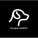 개꿀잼 애견카페 이미지