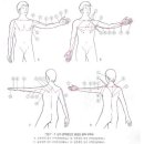 염기룡한의원 이미지